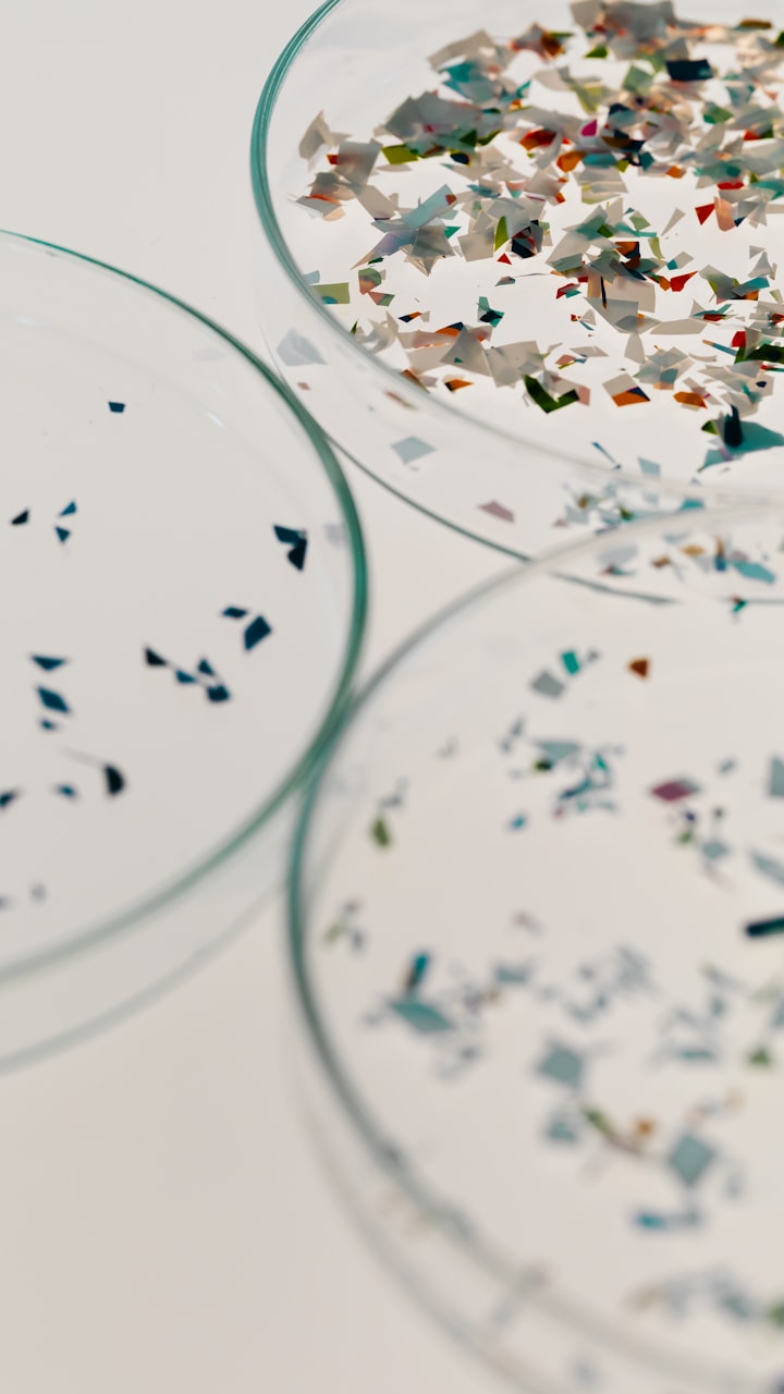 Petri dishes holding sorted plastic flakes for the next material cycle